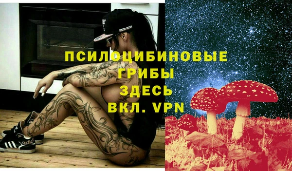 круглые Снежинск
